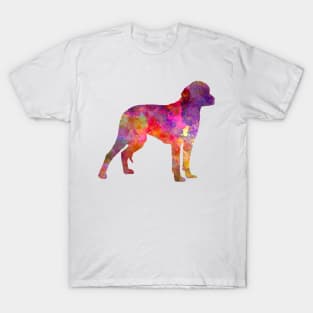 German Hound in watercolor T-Shirt